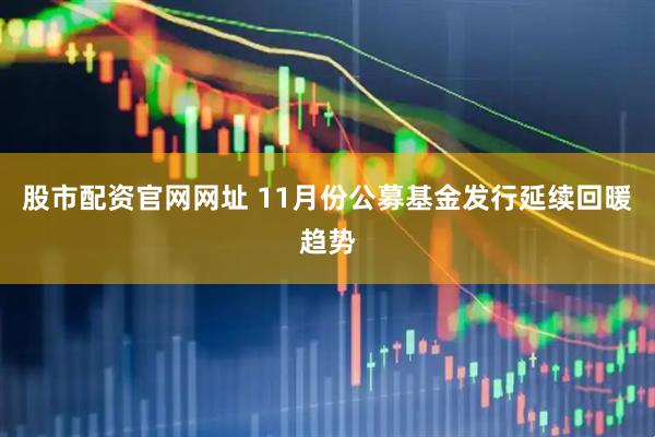 股市配资官网网址 11月份公募基金发行延续回暖趋势