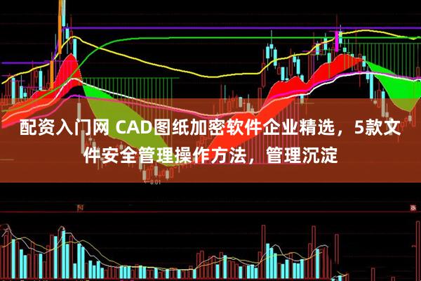 配资入门网 CAD图纸加密软件企业精选，5款文件安全管理操作方法，管理沉淀